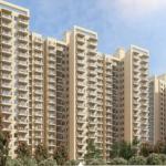 Traditional Food Restaurant