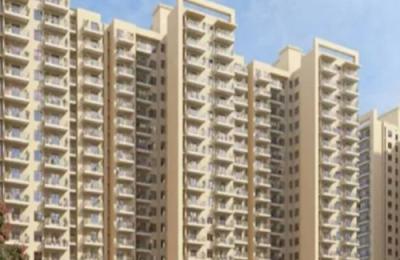 Traditional Food Restaurant